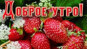 Чудесного доброго утра! Самая лучшая музыкальная открытка.