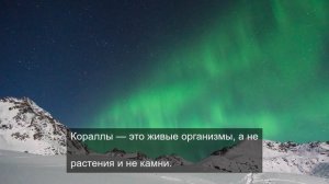 Смотрим природу 1