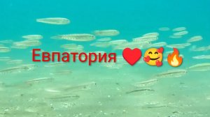 Евпатория 2026. Супер отдых на море. Барабулька, крабы, рапаны. Подводная съёмка красивых видов!!!