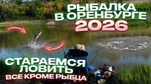 УРАЛ НАС РАДУЕТ КЛЕВОМ! Рыбалка в Оренбурге 2026