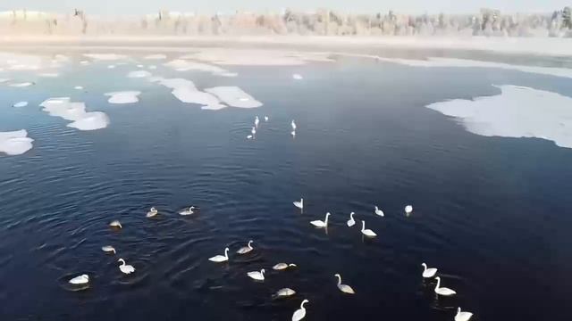 Туристко-рыболовная база ТОЛВА