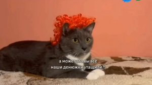 Анонс Котинет Современный (Карусель Сырчания)