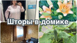 Повесила шторы на даче. Лилия зацвела. Проблемы с бензином.