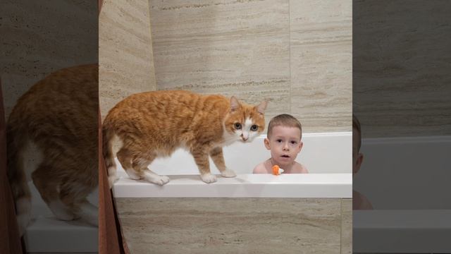 #мяу