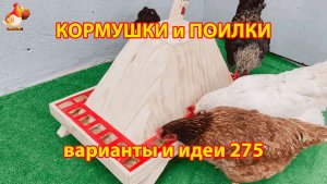 Кормушки и поилки для кур своими руками (275) 🪚✂️ Пошаговая инструкция как сделать 🐔 🐓❣️