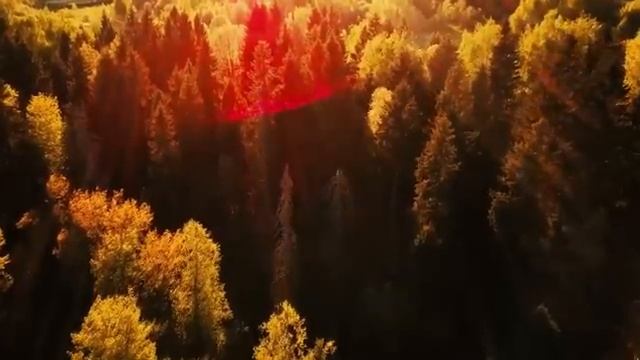 Chris Rea ＂Looking for the Summer＂ (New Generation Mix) (ver. 2) - Digital Master VideoEdit - смотреть онлайн