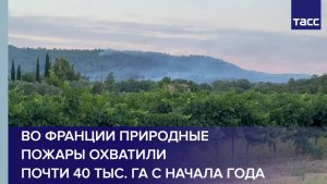 Во Франции природные пожары охватили почти 40 тыс. га с начала года