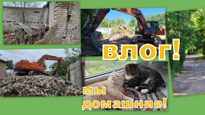 МОЛЧАЛИВЫЙ, ГРОМКИЙ ВЛОГ!)))