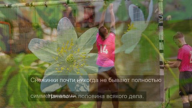 Путешествуем по миру 12 смотреть онлайн