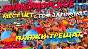 ДИВНОМОРСКОЕ! Мест БОЛЬШЕ нет! СТОЯ ЗАГОРАЮТ! ПЛЯЖИ трещат! ПОКАЗЫВАЮ всю ПРАВДУ! ЛЕТО 2026!