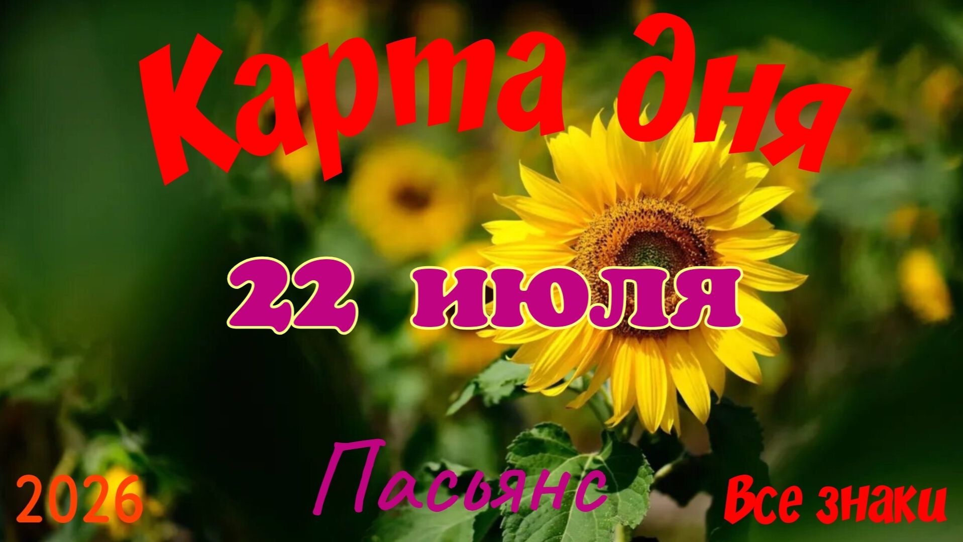 Карта дня🍒22 июля🍀💫Пасьянс. Тайм-код в описании 🦢 смотреть онлайн