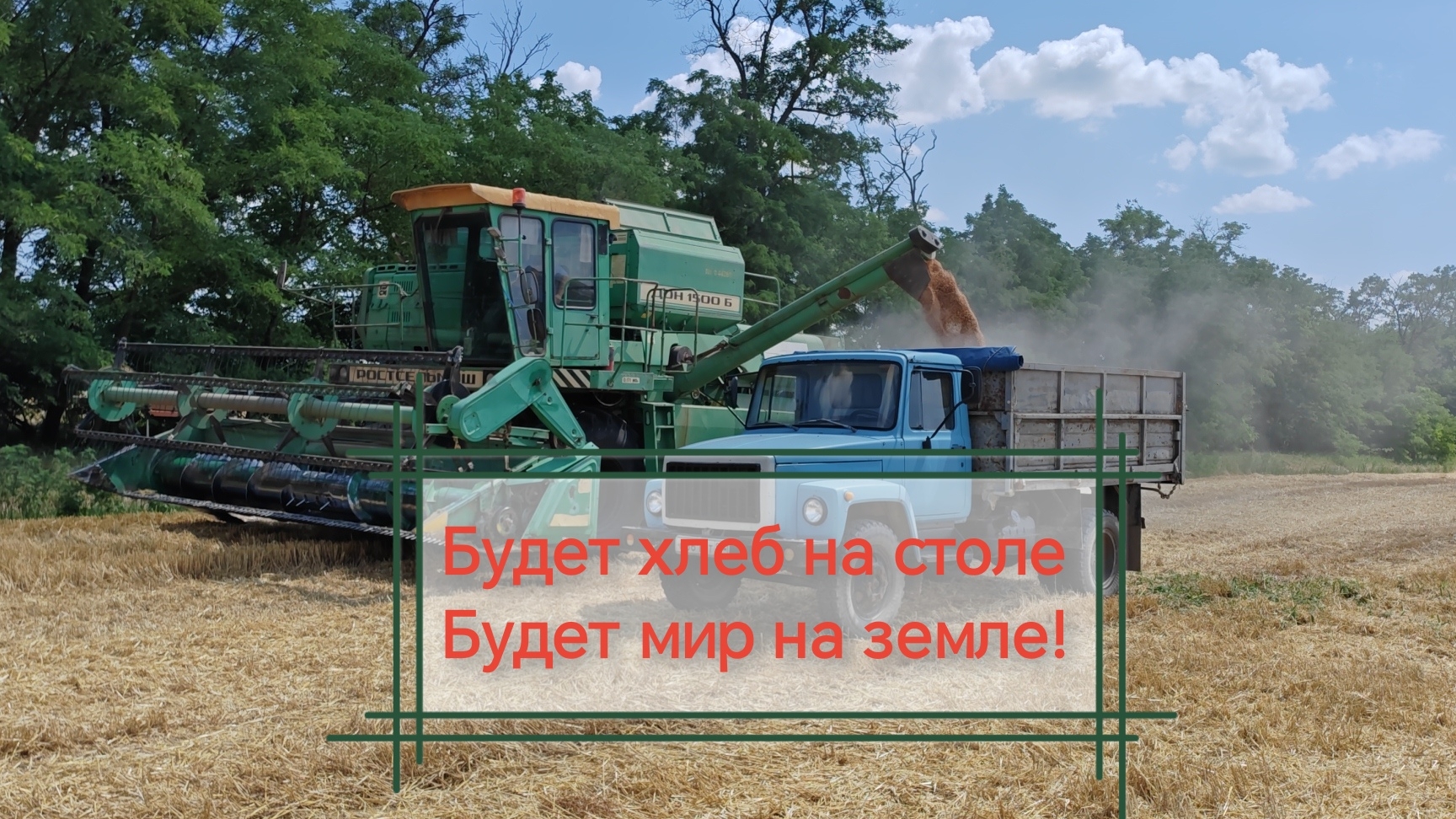 Уборка пшеницы 2026!!!