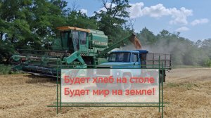 Уборка пшеницы 2026!!!