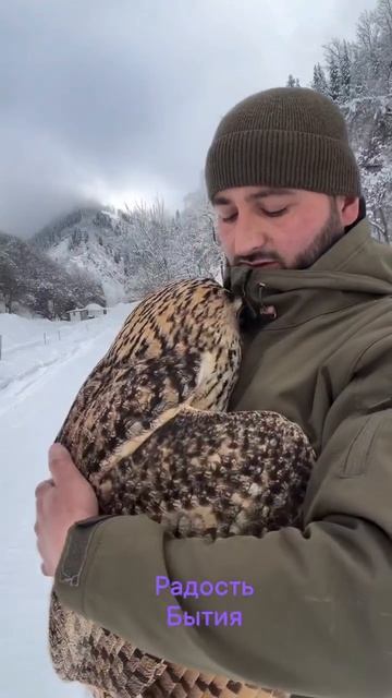 Радость бытия