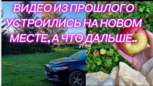 САМВЕЛ АДАМЯН, ПО ПРОСЬБАМ ЗРИТЕЛЕЙ, УСТРОИЛИСЬ НА НОВОМ МЕСТЕ, А ЧТО ДАЛЬШЕ..