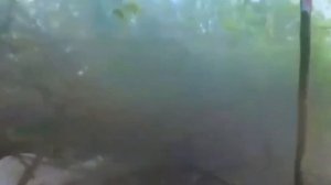 Польские наемники попали в засаду!