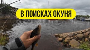 | С микрухой в поисках окуней |