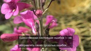 Путешествуем по миру 10