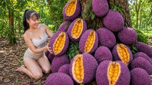 Девушка собирает 800 кг джекфрутов, сахарных яблок, рыбы, мягкотелых черепах — доставка на рынок на