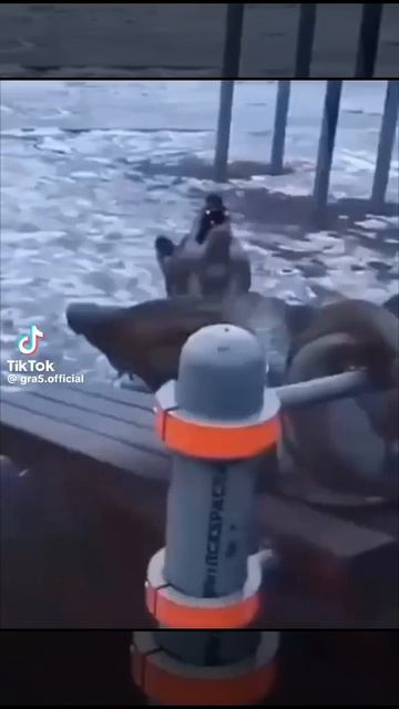 ай доля воровская