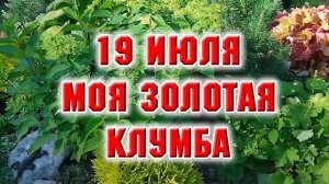 19 июля. Порядок на Золотой клумбе