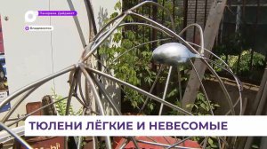 Ларги станут оригинальными арт-объектами в разных районах Владивостока