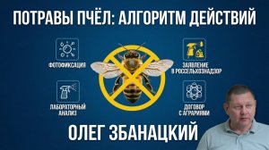 Потрава пчёл: что делать и как защитить пасеку? Советы Олега Збанацкого 🐝📋