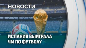 Сборная Испании стала чемпионом мира по футболу