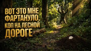 Крутая находка на старой лесной дороге