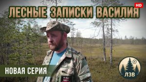 Очередной выезд за морошкой, рыбалка!!!
