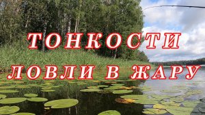 На что Реально ПОЙМАТЬ В ЖАРУ! Ловля щуки. Рыбалка на окуня