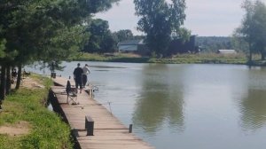 Ещё один карп в подсаке