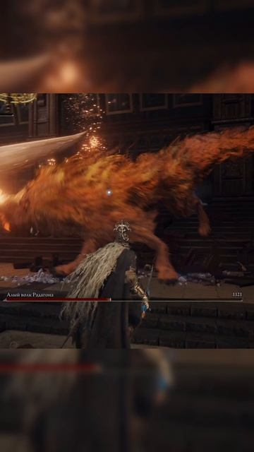 ИМЕЕМ АЛОГО ПСА РАДАГОНА ПОД МУЗЫКУ #shorts #шортс #eldenring  #darksouls