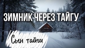 ЗИМНИК |ДОРОГА ЧЕРЕЗ ТАЙГУ