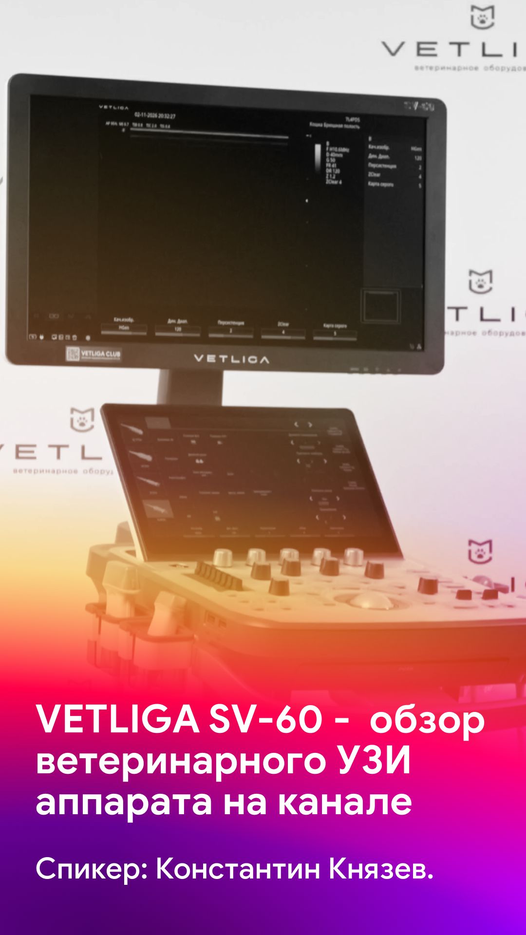 VETLIGA SV-60: тестируем возможности в реальной практике