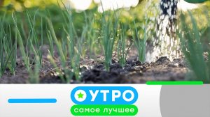 «Утро. Самое лучшее»: 20 июля 2026 года