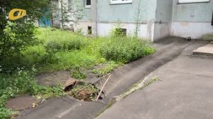 ЖИТЕЛЬ ДОМА №58 ПО УЛ. ЛЕНИНА ПОЖАЛОВАЛСЯ НА ДАВНЮЮ ПРОБЛЕМУ С ЯМОЙ, ИЗДАЮЩЕЙ НЕПРИЯТНЫЙ ЗАПАХ