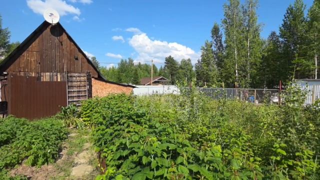 12705093 смотреть онлайн