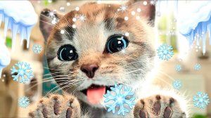 МУЛЬТИЧЕСКИЕ ПРИКЛЮЧЕНИЯ КОТЕЙ