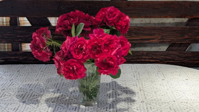 Подкормила клубнику. 🍓Все мы живем одним днем. Сосед в больнице. Подкормила клубнику. 🍓Все мы живем одним днем. Сосед в больнице.
