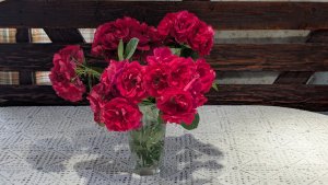 Подкормила клубнику. 🍓Все мы живем одним днем. Сосед в больнице.