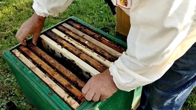 20 июля ЗАСЕВА пока НЕТ смотреть онлайн