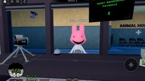новая аномалия (animal hospital)