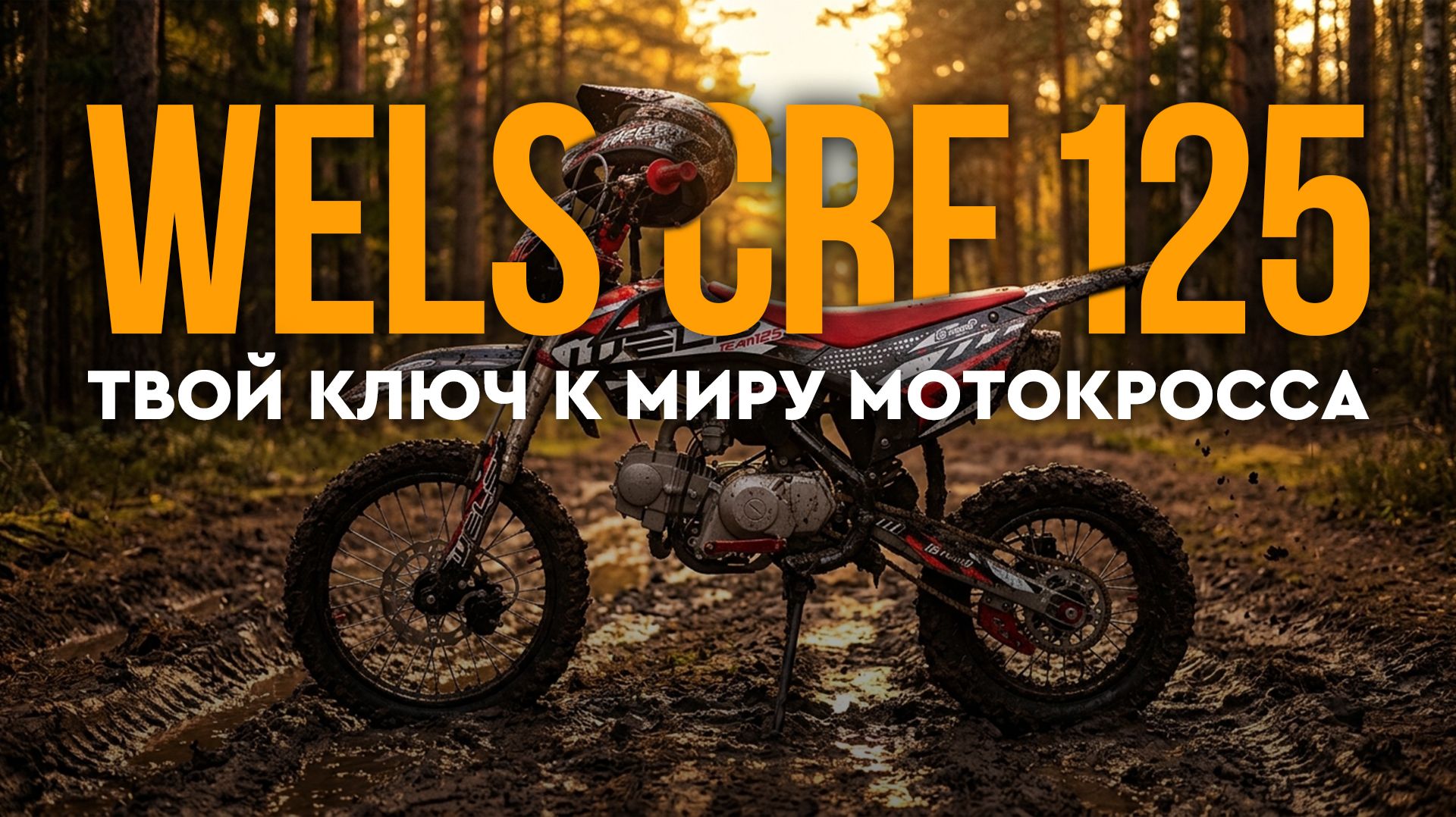 ПитБайк WELS CRF 125 TEAM - С завода — полный фарш