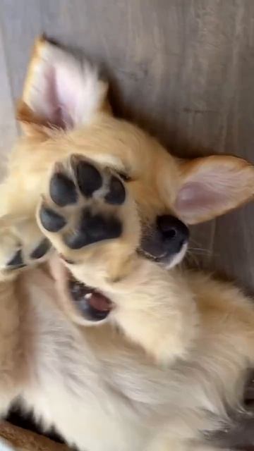 ☺️
