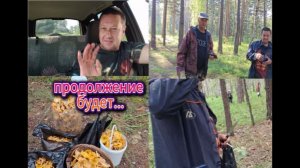 Поездка за грибами с нашими подписчиками.Собираем грибы.