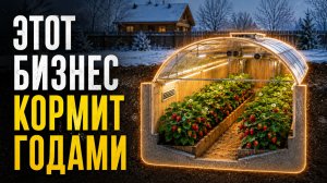 ЗАБЫТАЯ БИЗНЕС ИДЕЯ НА 6 СОТКАХ! Бизнес идеи! Бизнес 2026!