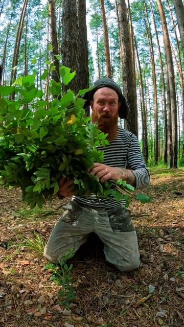 Уйти от погони