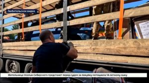 Партию гуманитарной помощи участникам СВО отправили ветераны разведки и спецназа Иркутской области