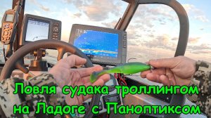 Ловля судака на Ладоге троллингом с Паноптиксом. Изучаю как себя ведет судак там где его все троллят